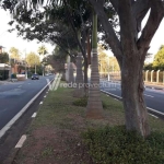 Terreno comercial para alugar na Avenida Doutor Heitor Penteado, s/n°, Parque Taquaral, Campinas