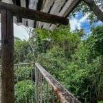 Casa de 4 dormitórios à venda no Morro das Pedras