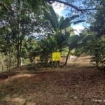 Terrenos rurais com frações de 5.000m² - em Rio Novo-MG.