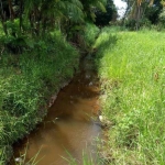 Excelente terreno, totalmente plano, com açude e córrego de água, no centro de Goianá.