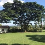 Chácara - à venda por 1.475.000,00 - - Jardim Santa Maria II, - Campinas.