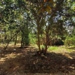 Terreno a venda no Village Campinas - 1500m²