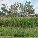 Terreno em condomínio fechado à venda na Dez, s/n, Verde Mar, Caraguatatuba
