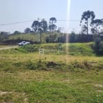 Lote / Terreno em Morro Chato  -  Rancho Queimado