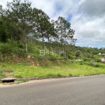 Lote / Terreno em Itacorubi  -  Florianópolis