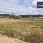 Terreno  venda  Colônia Murici em São José dos Pinhais