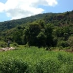 Terreno à 2km da Praia da Tabatinga Ubatuba