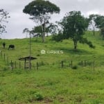 Fazenda de 7 alqueires em Abadiânia porteira fechada