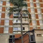 Apartamento com 3 quartos para alugar na Rua Presidente Bernardes, 1314, Jardim Flamboyant, Campinas