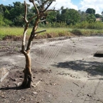 Terreno comercial à venda na Olyntho de Barros, s/n°, Barão Geraldo, Campinas