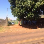 Terreno à venda na Avenida Constante Pavan, 800, Betel, Paulínia