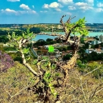 Terreno à venda na Alto Belvedere, 420, Centro, Lagoa Santa