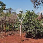 Terreno à venda no Profilurb com vista para Roda Gigante - Foz do Iguaçu PR