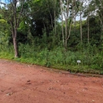 Área com 1.500 m² (Lote 53) no Condomínio Sítio das Hortênsias - São Roque - SP