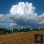 Terreno à venda, 200 m² por R$ 230.000 - Jardim Reserva Ipanema - Sorocaba/SP