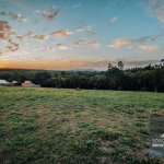 Terreno à venda, 1000 m² por R$ 299.000,00 - Condomínio Terras de São Lucas - Sorocaba/SP