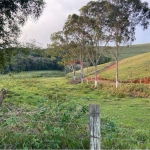 investimento fazenda dentro da cidade de Juiz de Fora