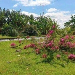 Chácara à venda, 6600 m² por R$ 205.000,00 - Zona Rural - Jataizinho/PR