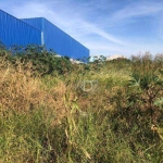 Terreno à venda, 6000 m² por R$ 2.000.000,00 - Perobinha - Londrina/PR