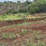 Chácara à venda - Londrina/PR