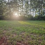 Terreno em Condomínio para Venda em Águas de Santa Bárbara, Thermas de Santa Barbara