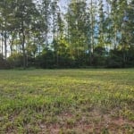 Terreno em Condomínio para Venda em Águas de Santa Bárbara, Thermas de Santa Barbara