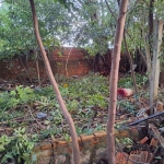 Terreno à venda na Rua dos Caiaguais, 189, Espírito Santo, Porto Alegre