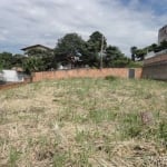 Terreno comercial para alugar na Alameda das Lathânias, 1, São Luiz, Belo Horizonte