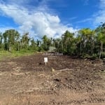 Lote/Terreno à Venda, Barra do Sai - Itapoá