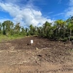 Lote/Terreno à Venda, Barra do Sai - Itapoá