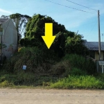 Lote/Terreno Localizado a 580 Metros da Praia