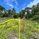 TERRENO PARA INVESTIMENTO, SAÍ MIRIM