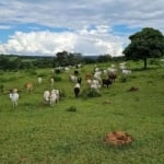 Fazenda em Zona Rural Hidrolandia  -  Hidrolândia