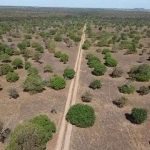 Fazenda em Silvanópolis