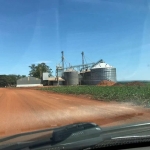 Fazenda em Ponta Porã