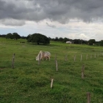 Fazenda em Cocalinho