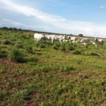 Fazenda em Duerê