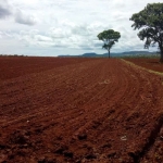 Fazenda em Zona Rural  -  Itapuranga