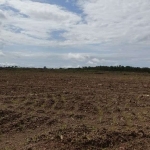 Fazenda em Monte do Carmo