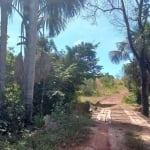 Fazenda em Pontal do Araguaia