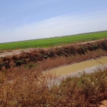 Fazenda em Lagoa da Confusão