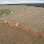 Fazenda em Araguaína