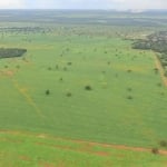 Fazenda em Lagoa da Confusão