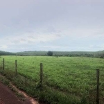 Fazenda em Araguaína