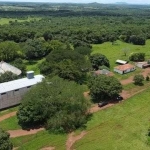 Fazenda em Paranã