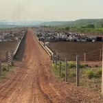 Fazenda em Pindorama do Tocantins