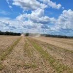 Fazenda em Santa Maria do Tocantins