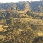 Fazenda em Carmo do Rio Verde