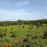 Fazenda em Miracema