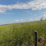 Fazenda em Monte do Carmo